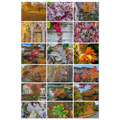 0544f9b8-a315-411a-ad36-e444a9ab96a8