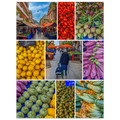 09011002-69c0-437e-bfdd-0e3ac4ad908f