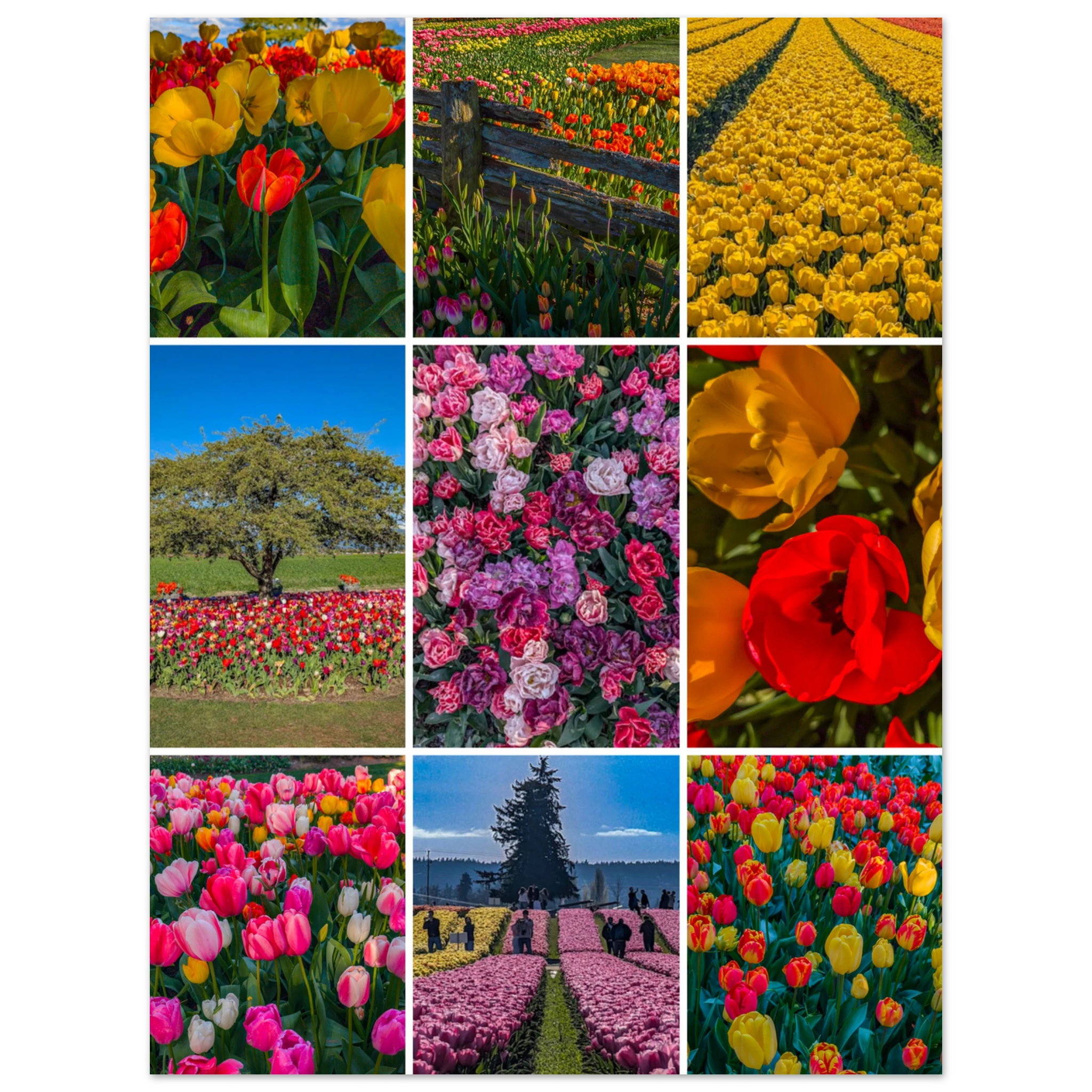 18b6dae3-88a7-4fcf-9c12-31617f65788b