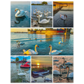 20c505bc-73e7-472c-aa12-3c0800cd9375