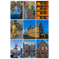 347e6d09-3ae3-4460-97d5-eb9615212913