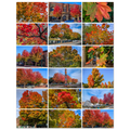 501da770-bd19-456d-a16e-addc97e91dbb