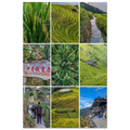 602c3be9-d503-4ed7-87b7-104f1f892d22