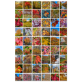 687f8ad3-ce3d-40a3-a2c1-492283677a93