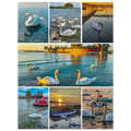 6a8ecd73-25cb-4c81-9dfd-e452201415d8