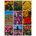 6f181e3a-cc87-46f6-93a6-fd6a70a73922