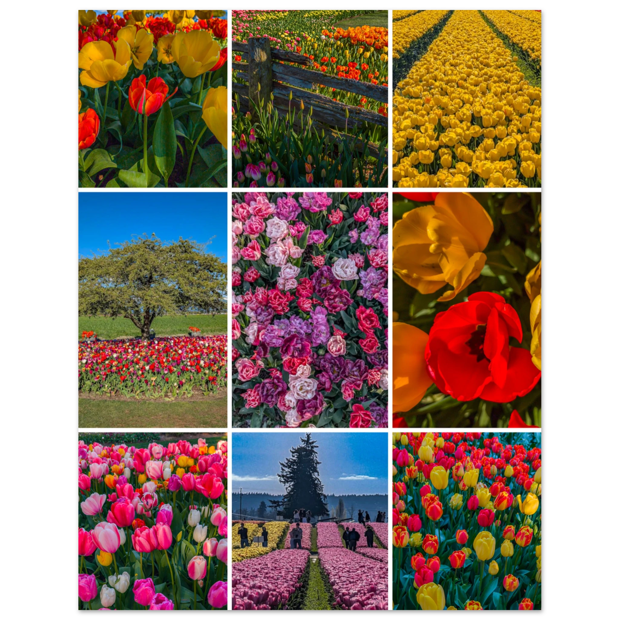 6f181e3a-cc87-46f6-93a6-fd6a70a73922