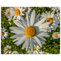 72a4070b-34df-464b-a892-a18ed33c7454