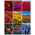 74ccda0a-298c-465c-8c48-c94406fe9059