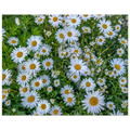 8a9e8cc3-cefe-45fc-8159-a5cf21f0d794