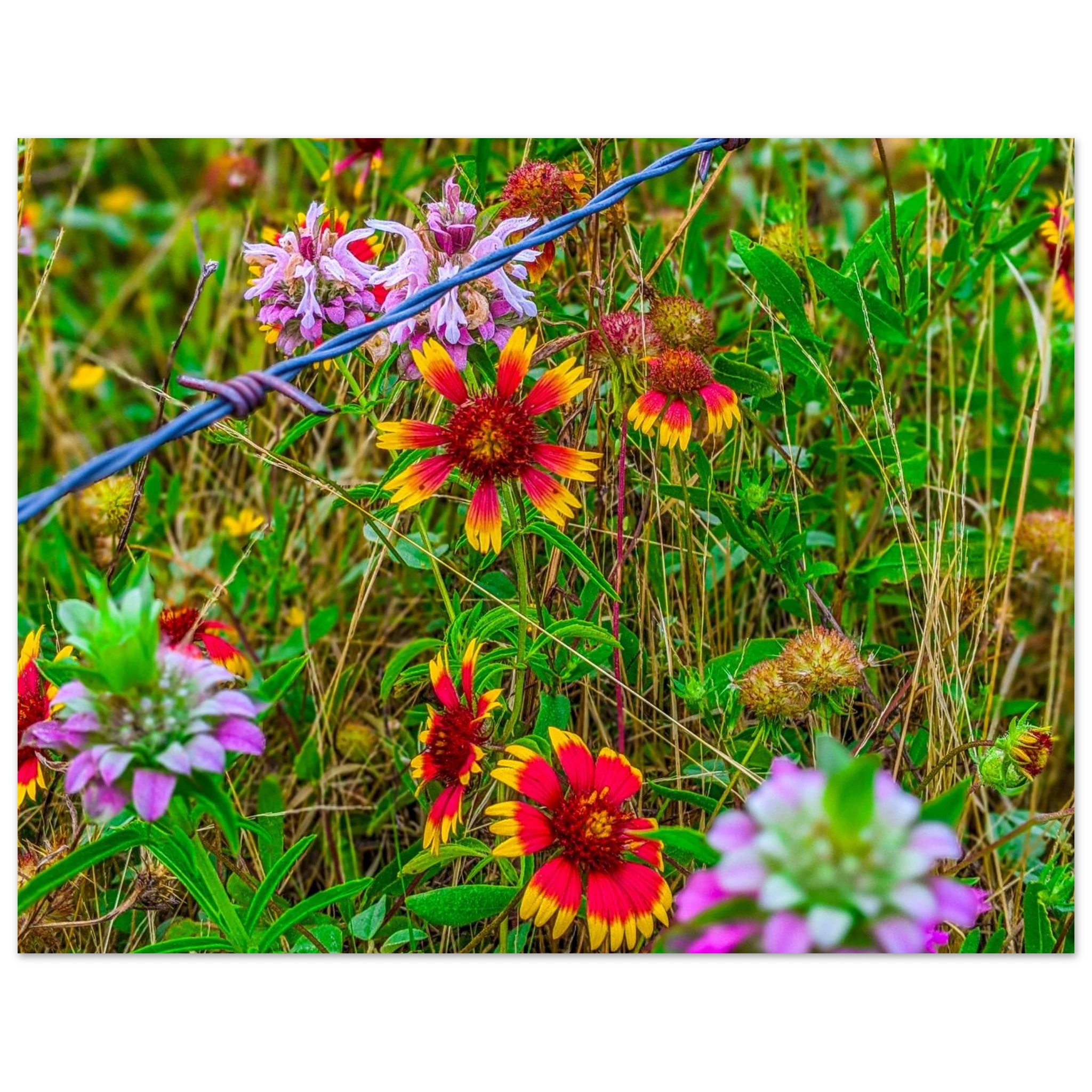 8ab39408-7435-4ed1-9610-f7144ba281b5