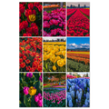 9f44a1ba-4d13-47a2-9d8e-5fd1cdd90ed9
