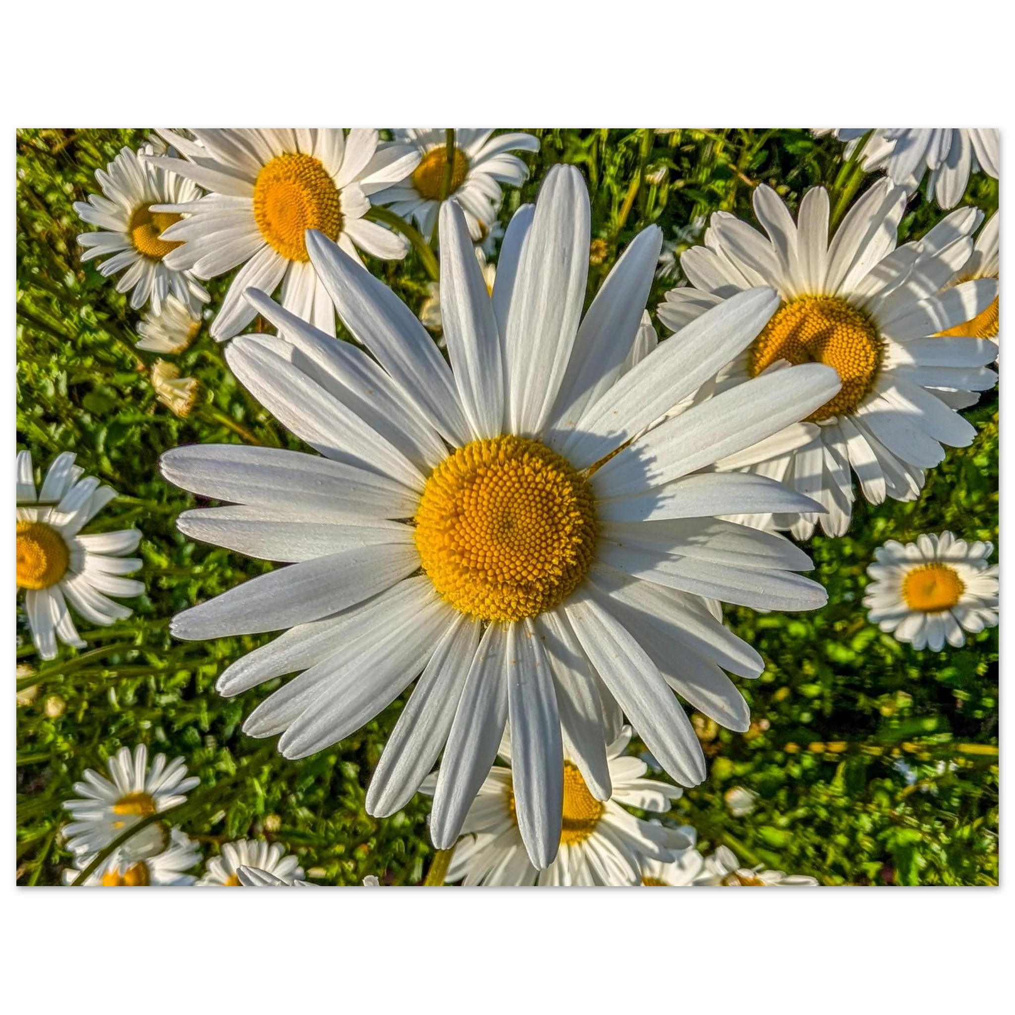 c4a13f44-8e78-42a9-abfe-059d93e9b061