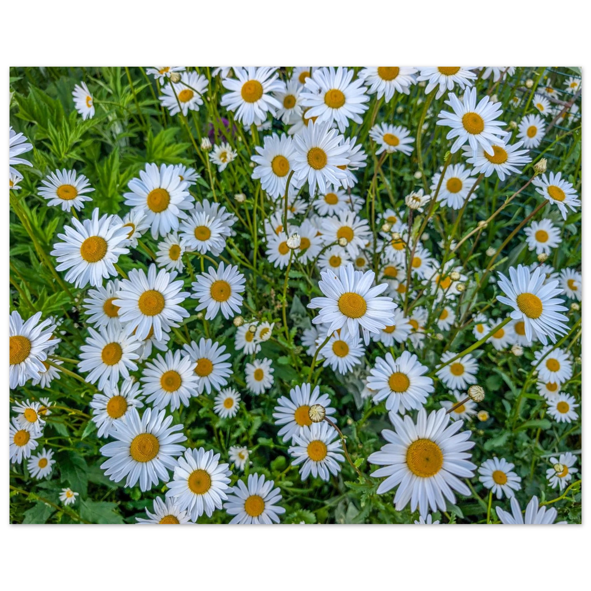 d0039e5d-8131-45b5-82df-e8d44bfd5146