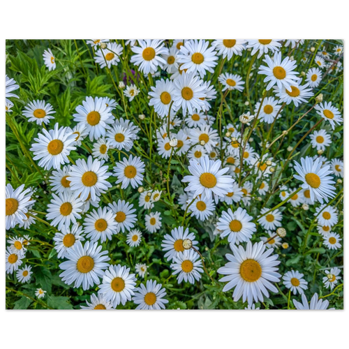 d0039e5d-8131-45b5-82df-e8d44bfd5146