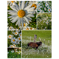 d0a5d1c5-b3dc-4fdb-bcf8-3c38bb2bd84f