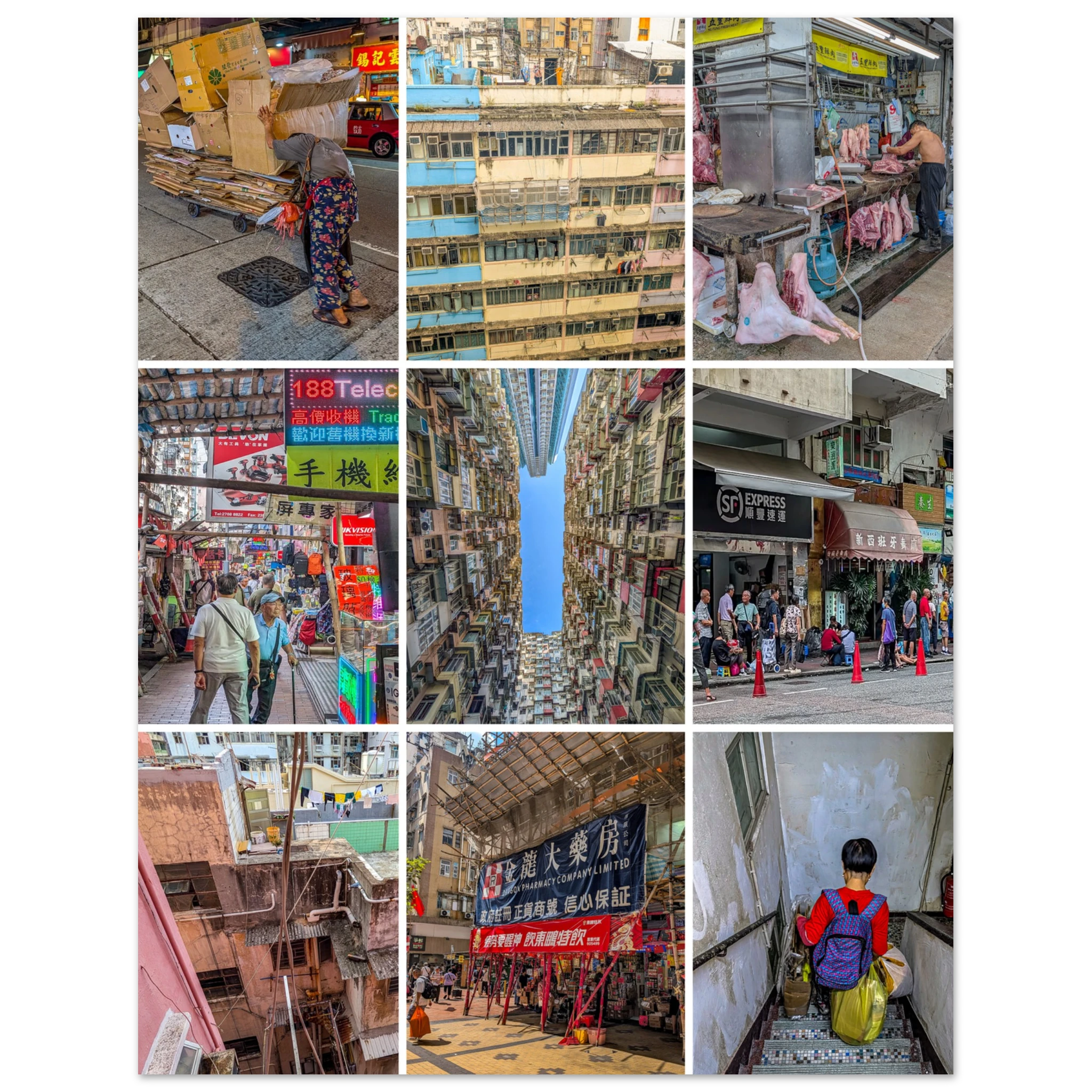 d2bc8d58-0f44-4ad6-aa45-f742ee374928