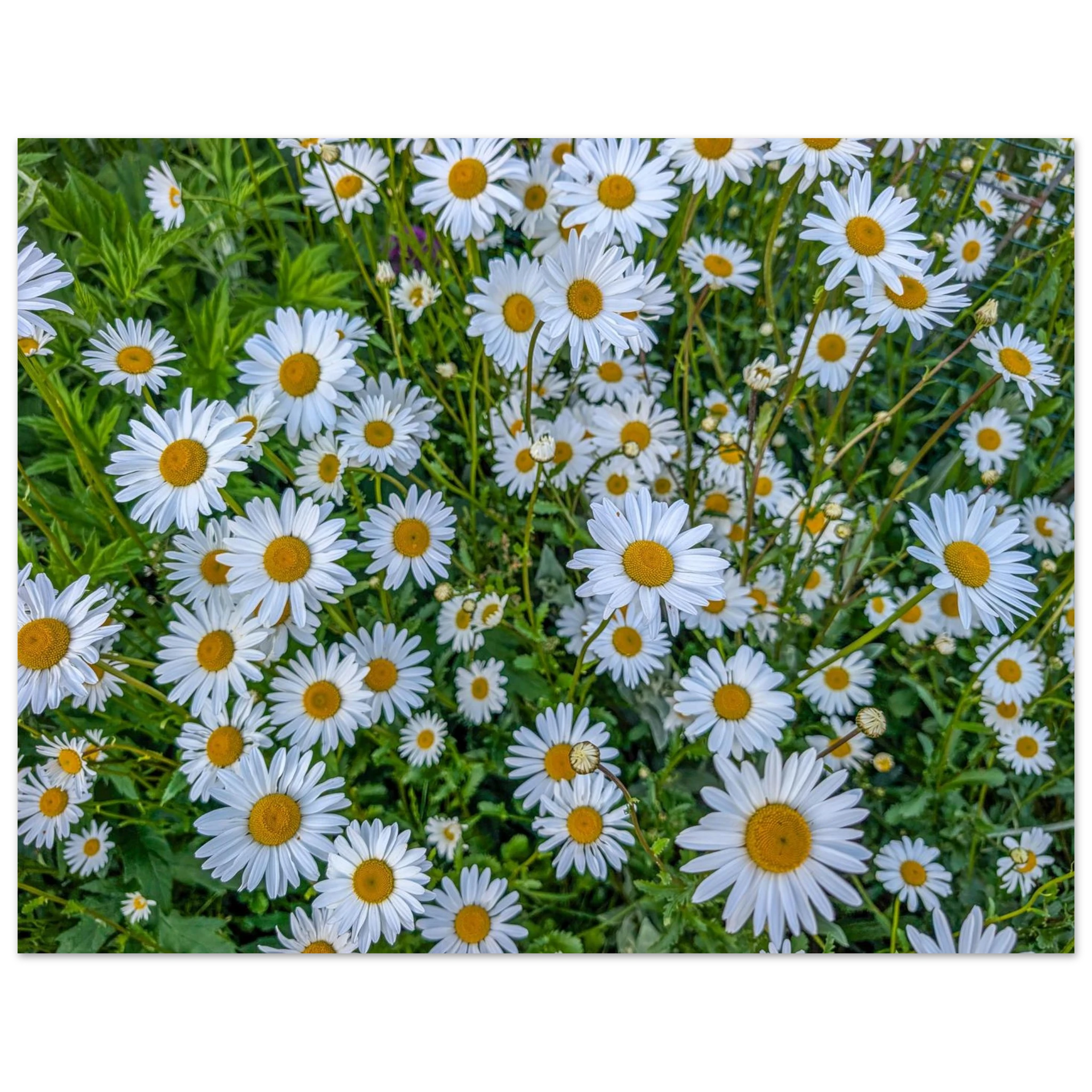 d3fa9872-b9af-4958-a573-5580edbdb9ae
