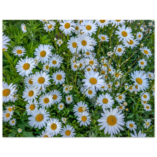 d3fa9872-b9af-4958-a573-5580edbdb9ae