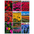 d4888dbe-c1da-4795-9393-d9f62d1750c1