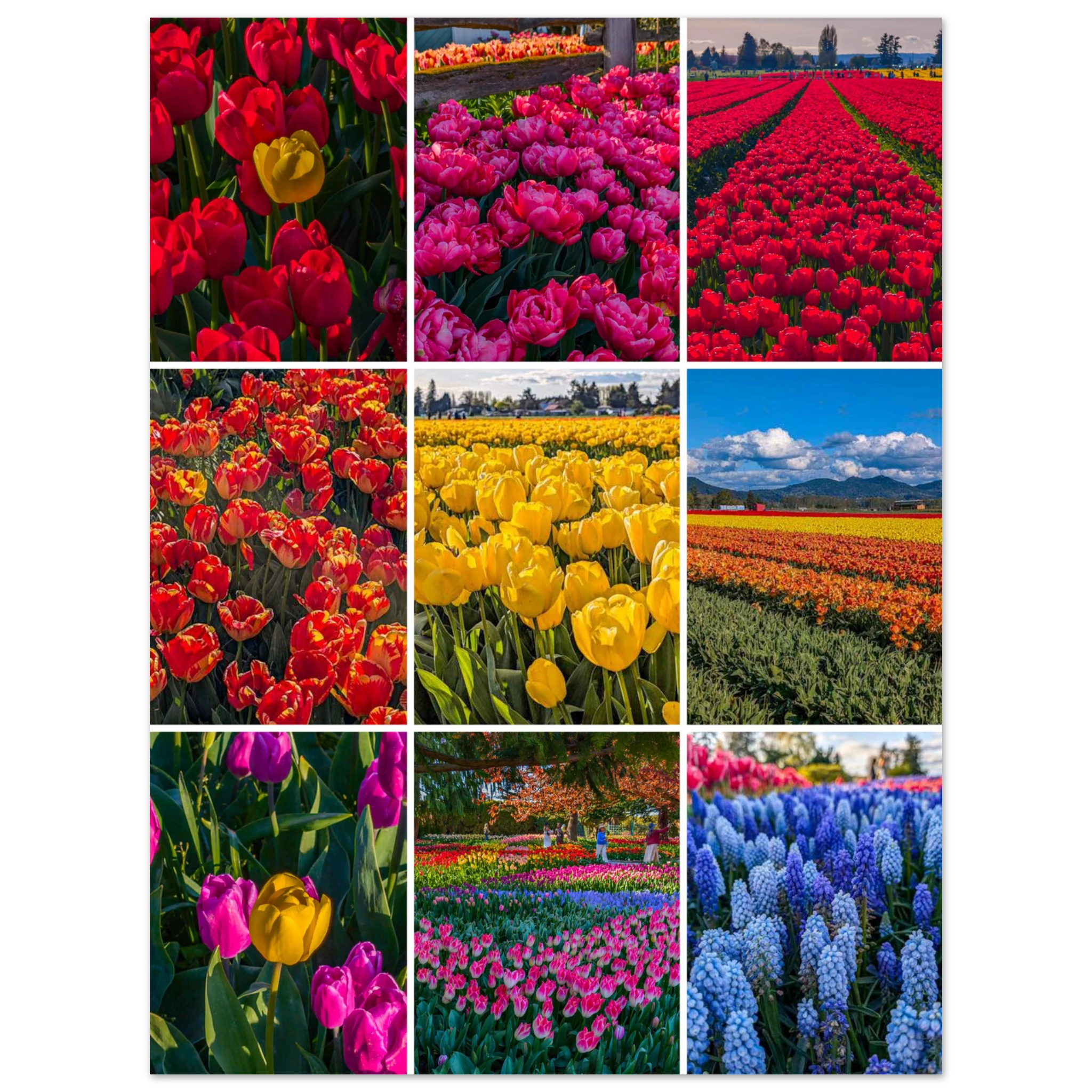 d4888dbe-c1da-4795-9393-d9f62d1750c1