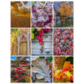 d623db4b-3266-47f7-b4d3-4c46085b4e4e
