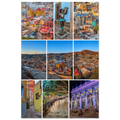 e7cb232c-f557-453f-9320-4a541260fbe2