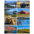 fe6b4912-bc0c-4e74-a57c-81562c311fec